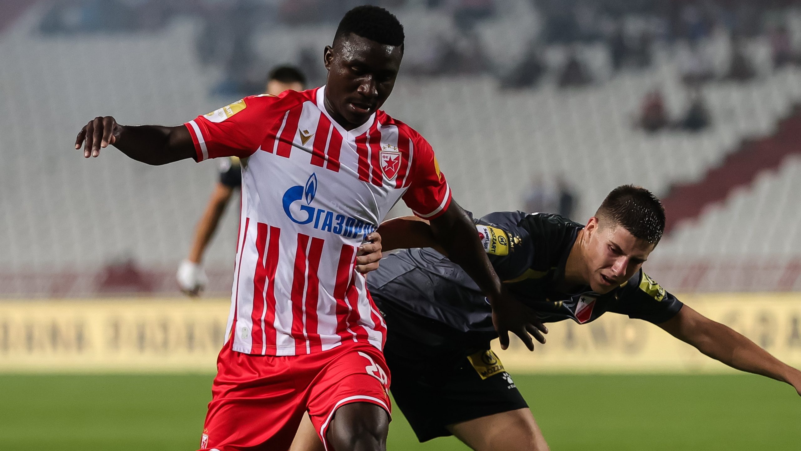 Kangva ponovo koban po Zvezdinog dželata